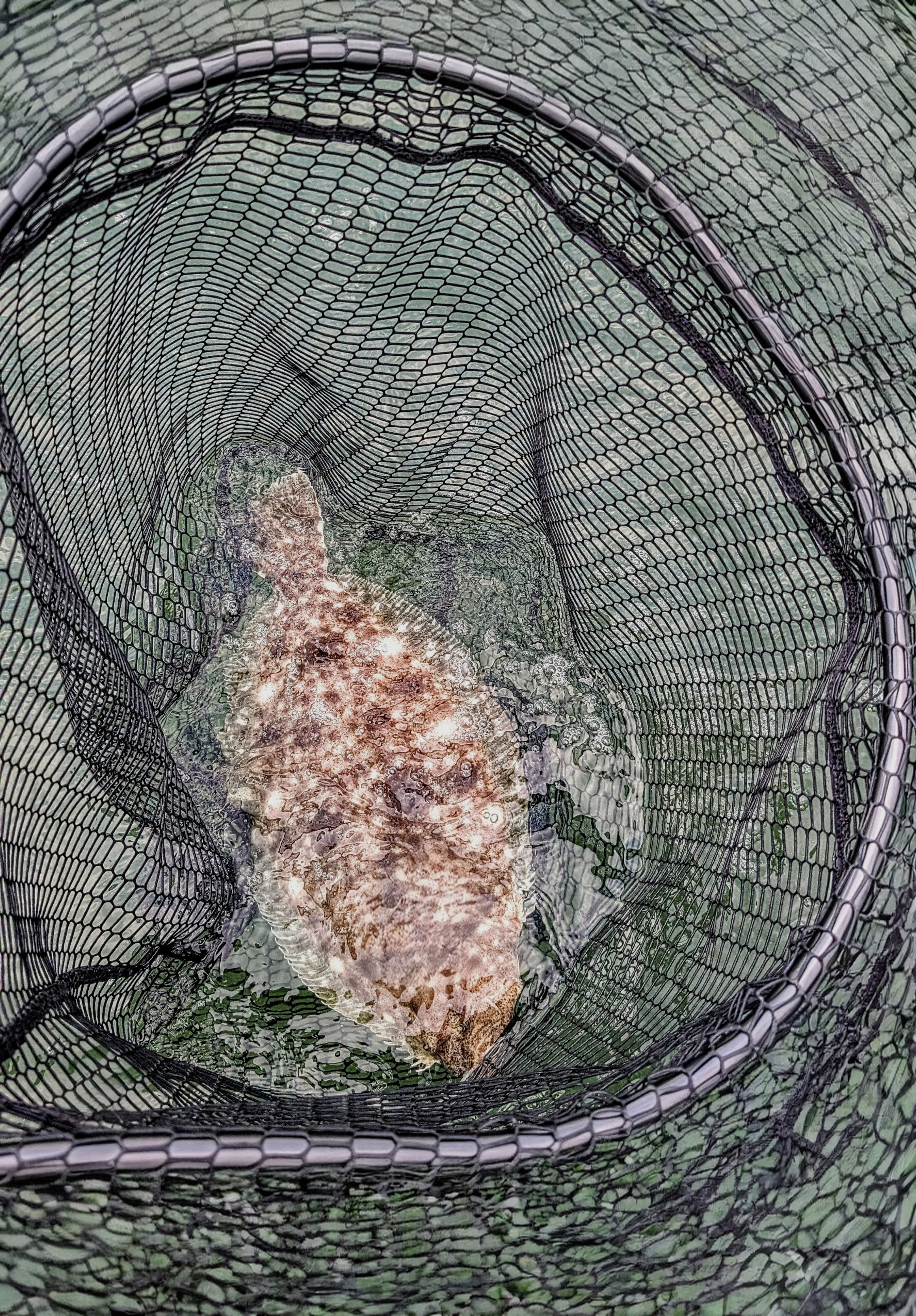 19.5