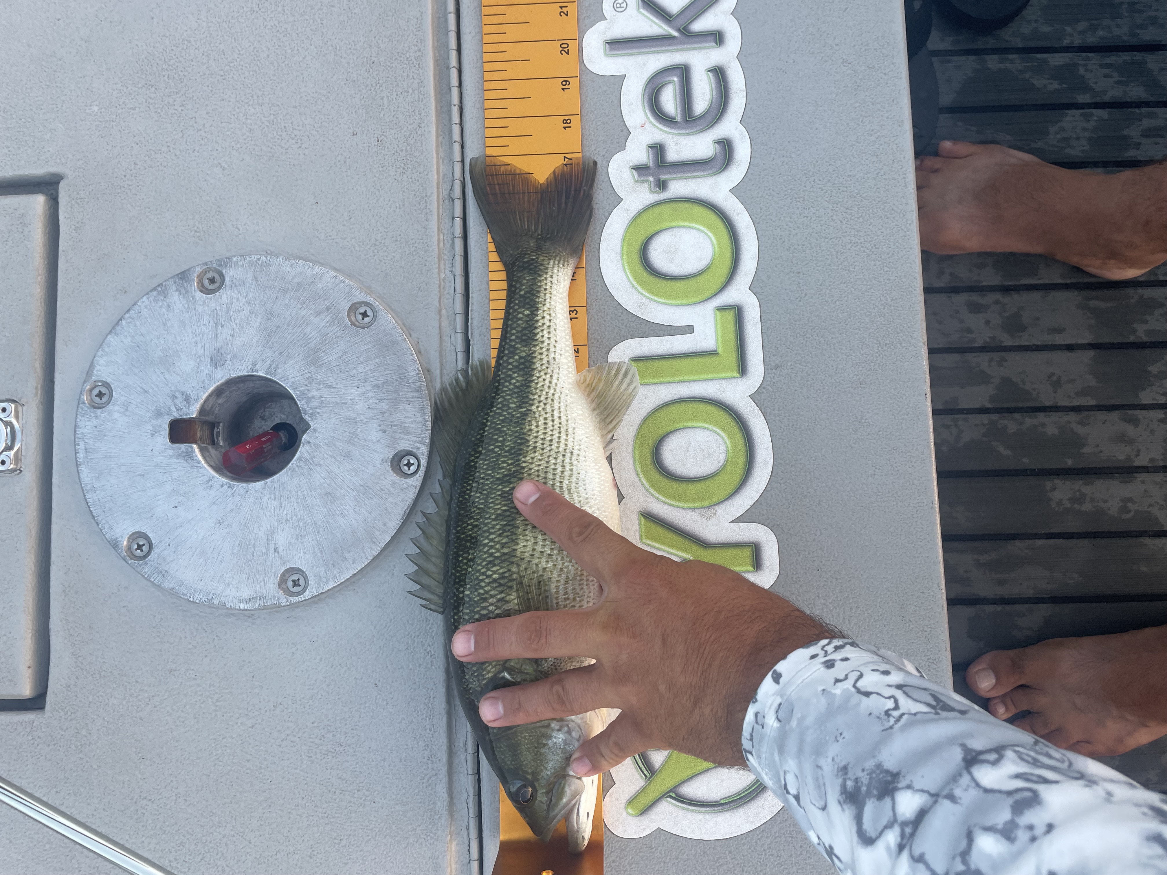 17.0