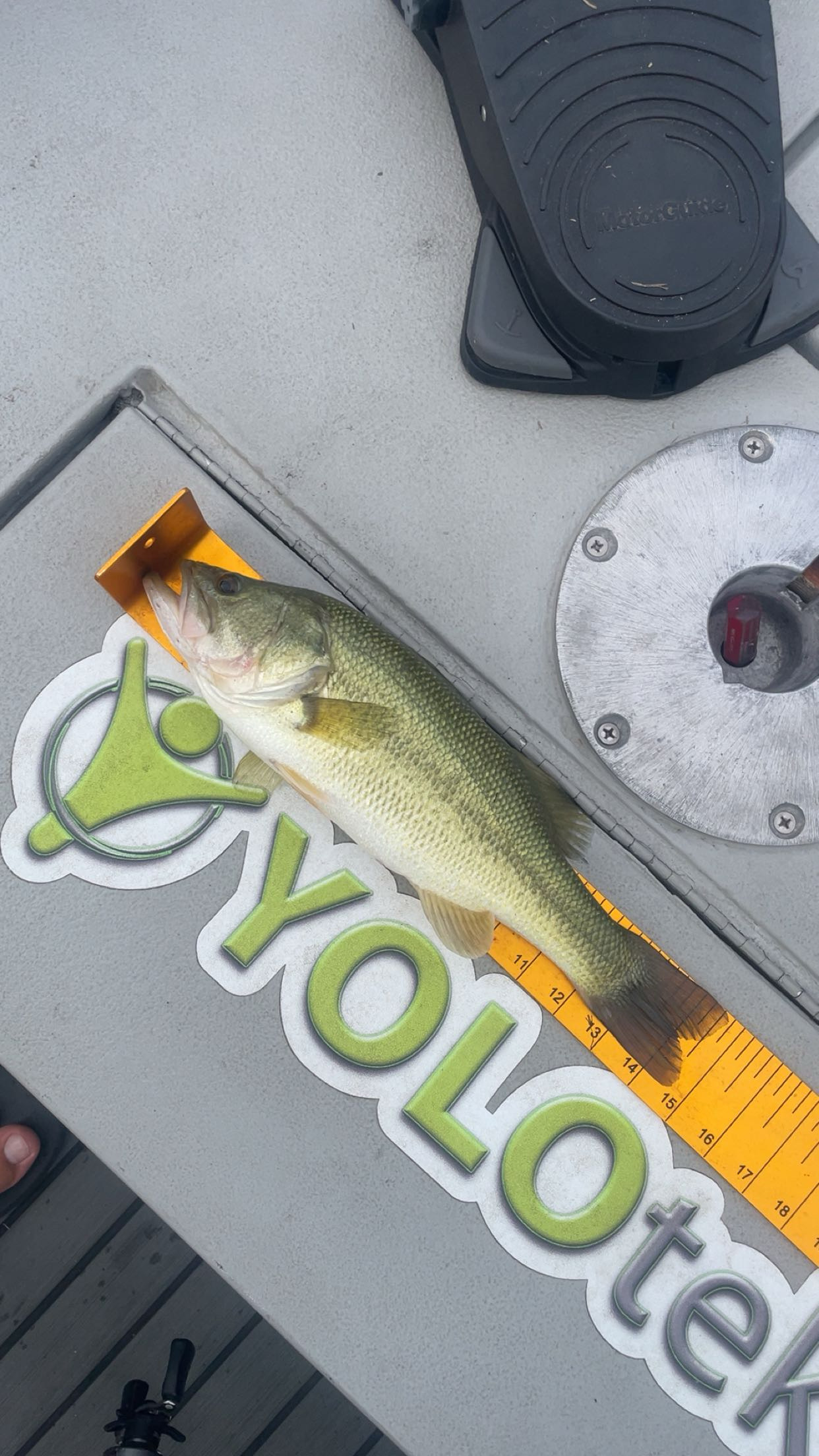 14.8