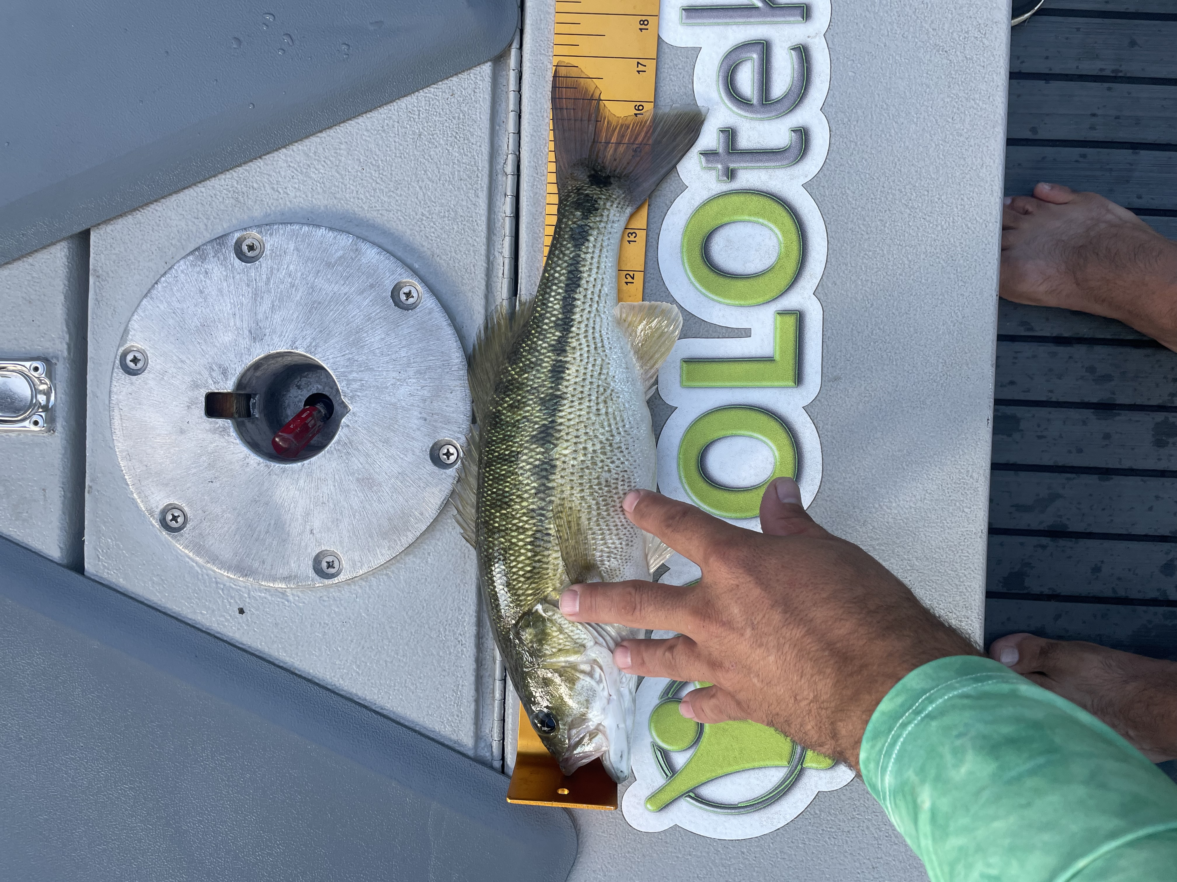 16.8