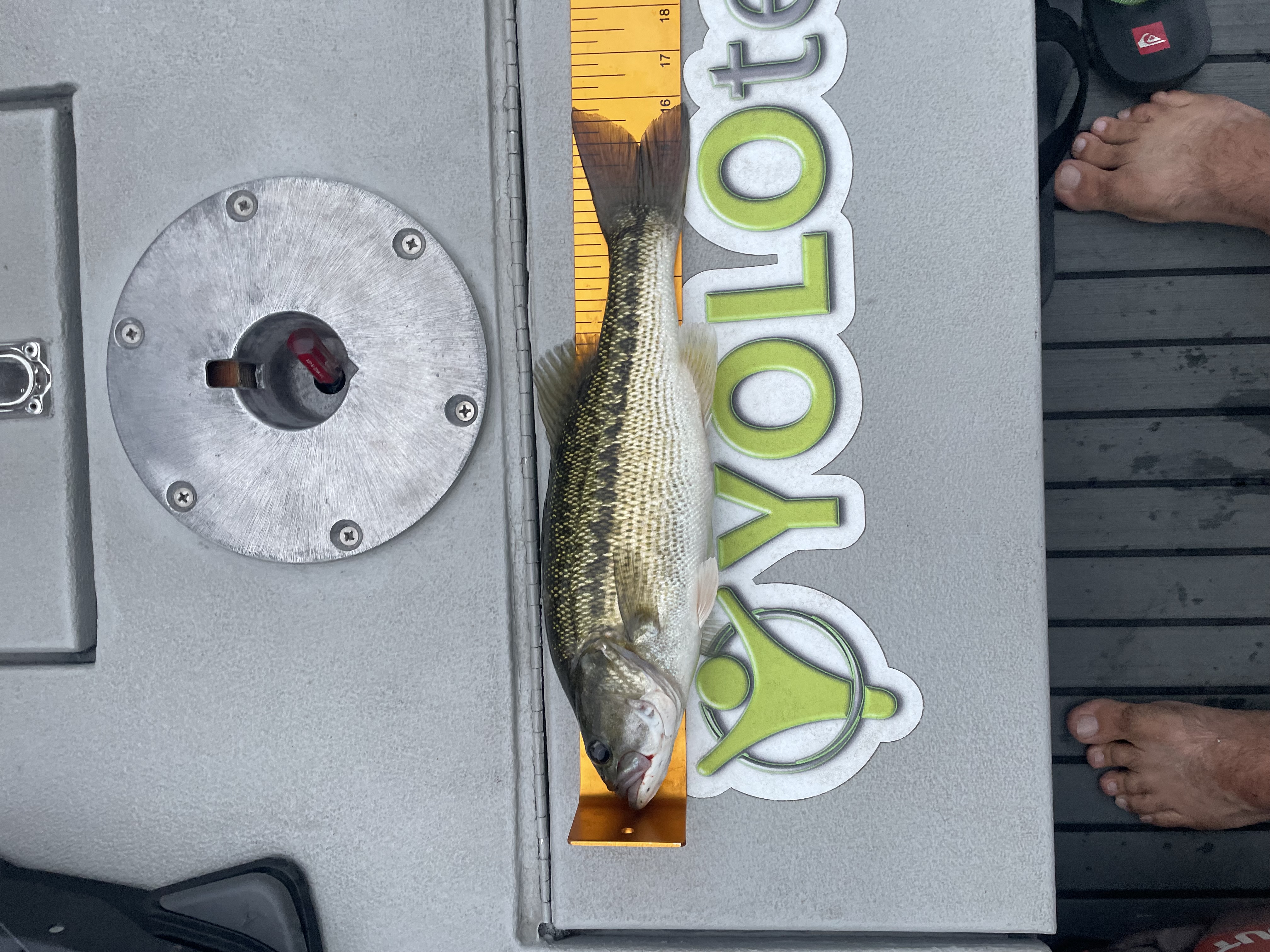 15.8
