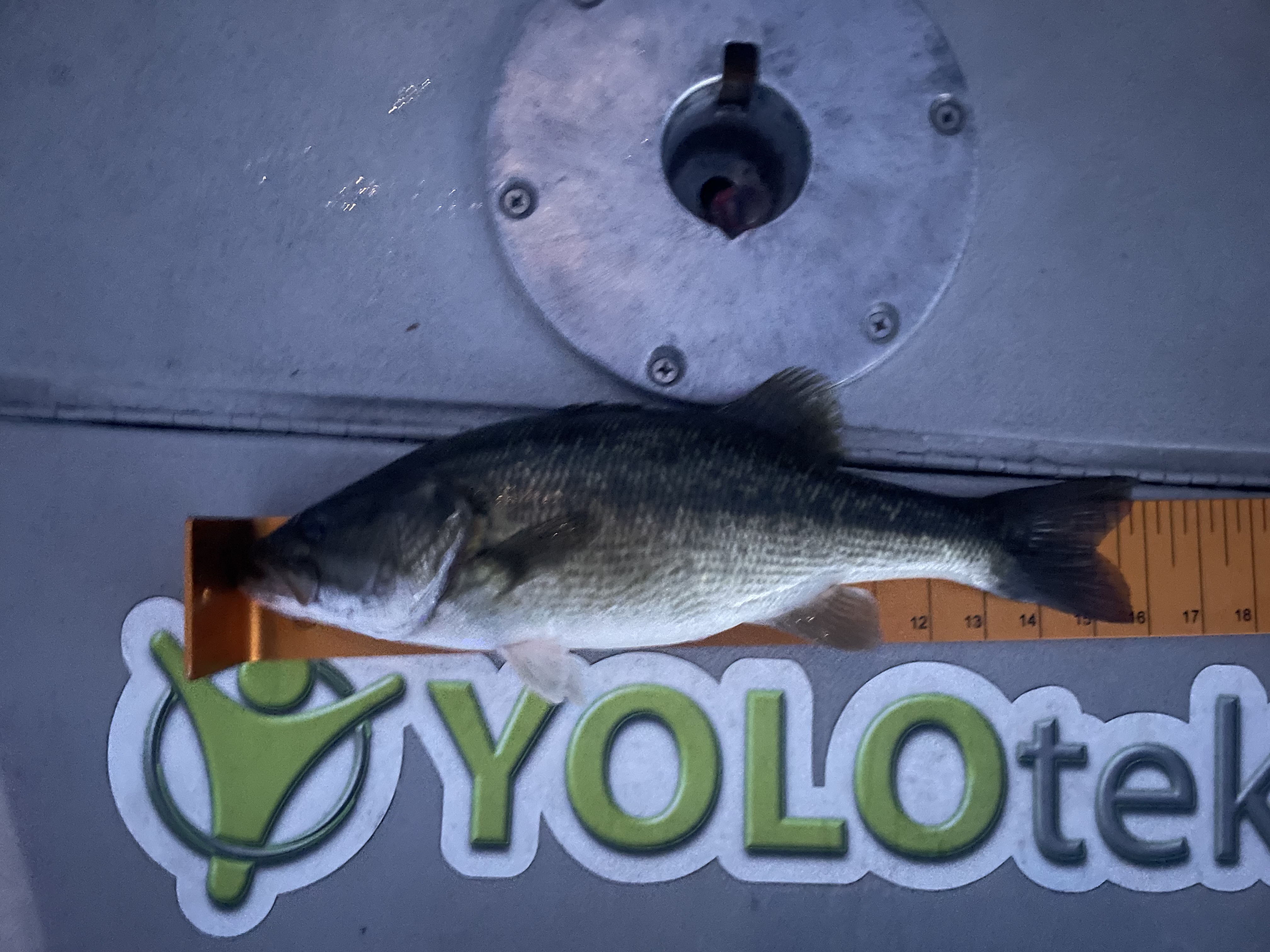 15.8