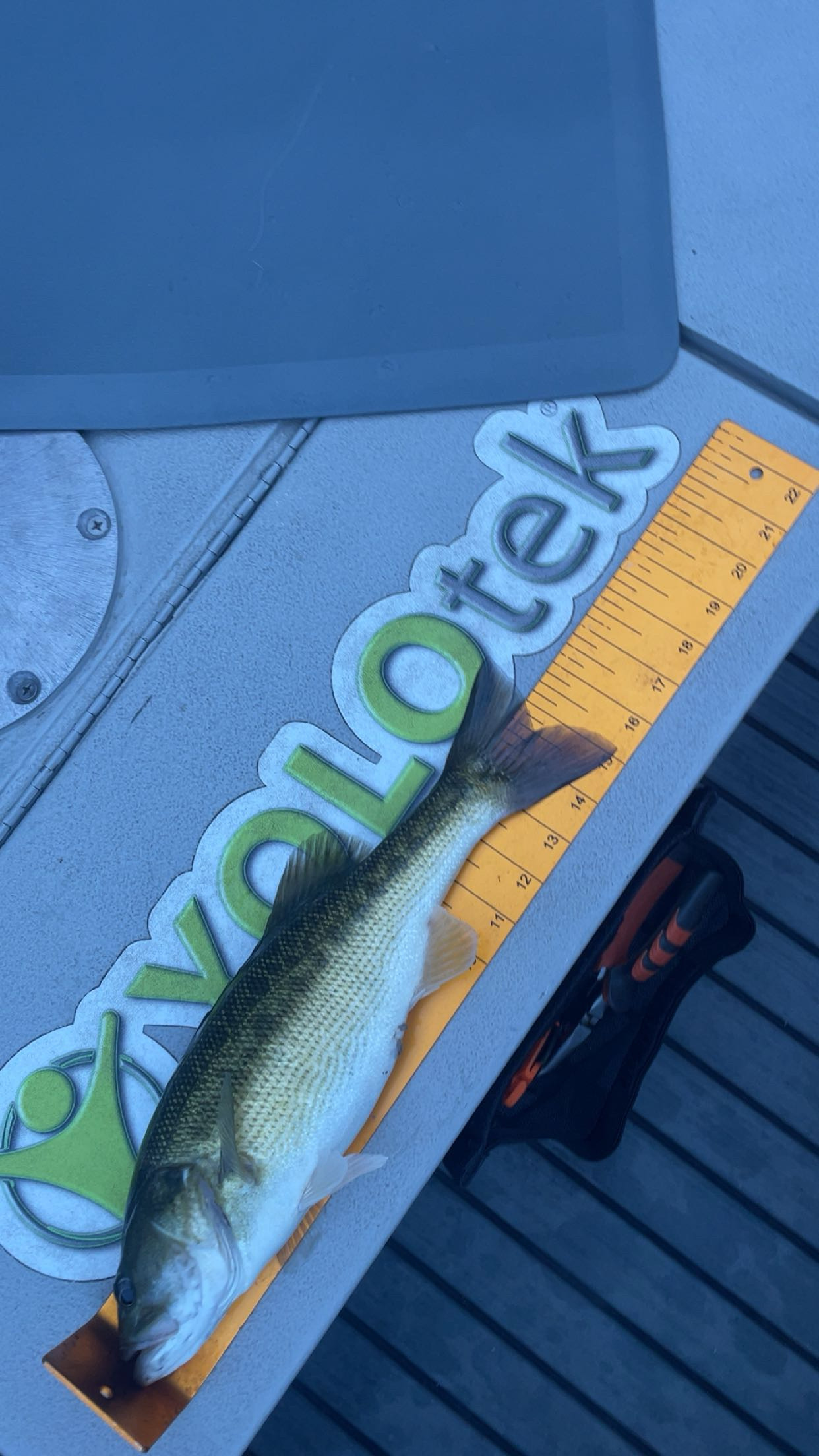 15.0