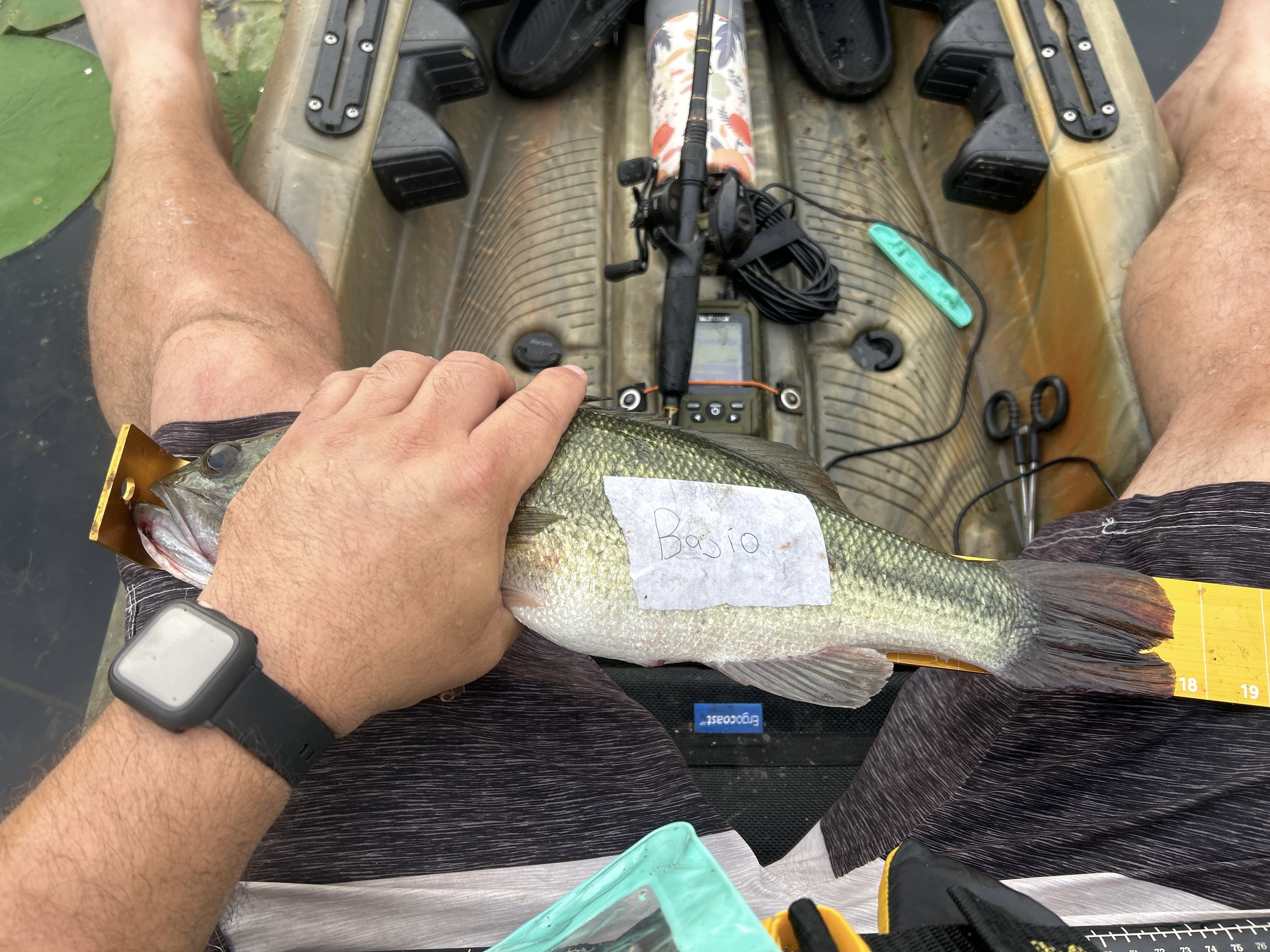 17.5