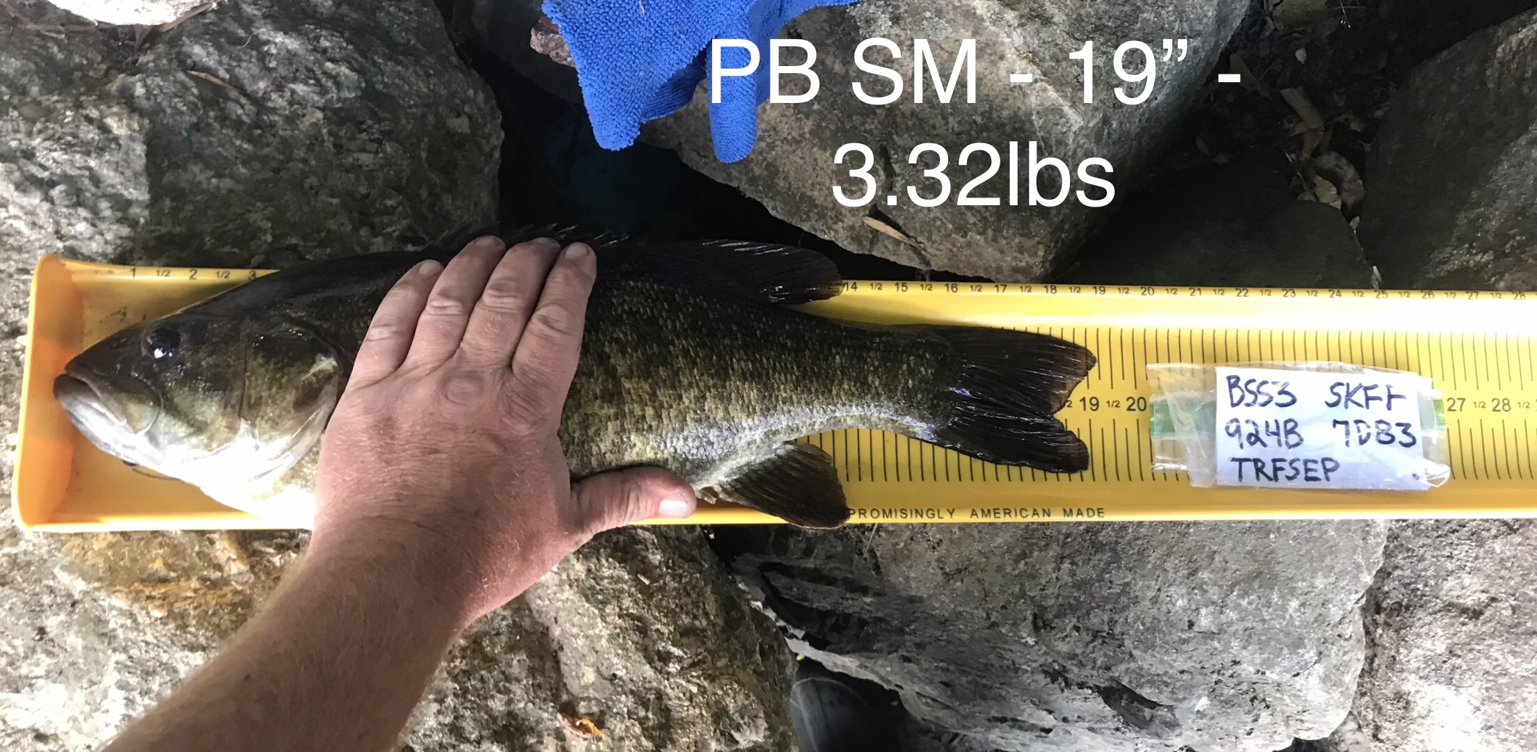 19.0