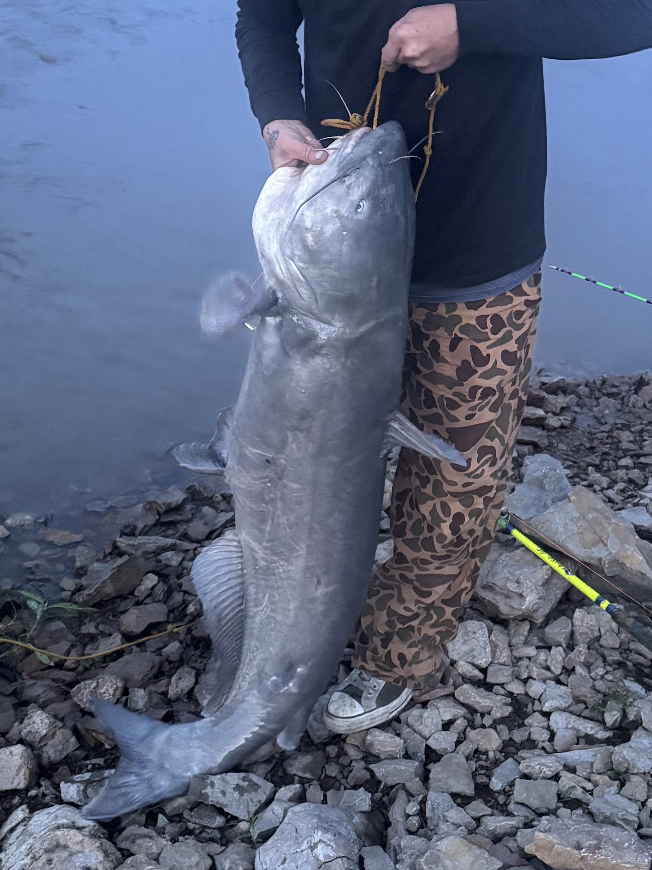 65.2